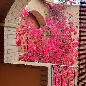 P.piano - Centro Paese Casa vacanze